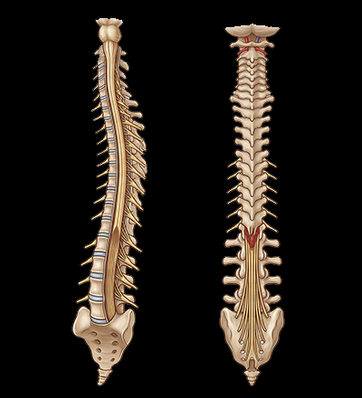 Fullcrum Physiotherapy Clinic