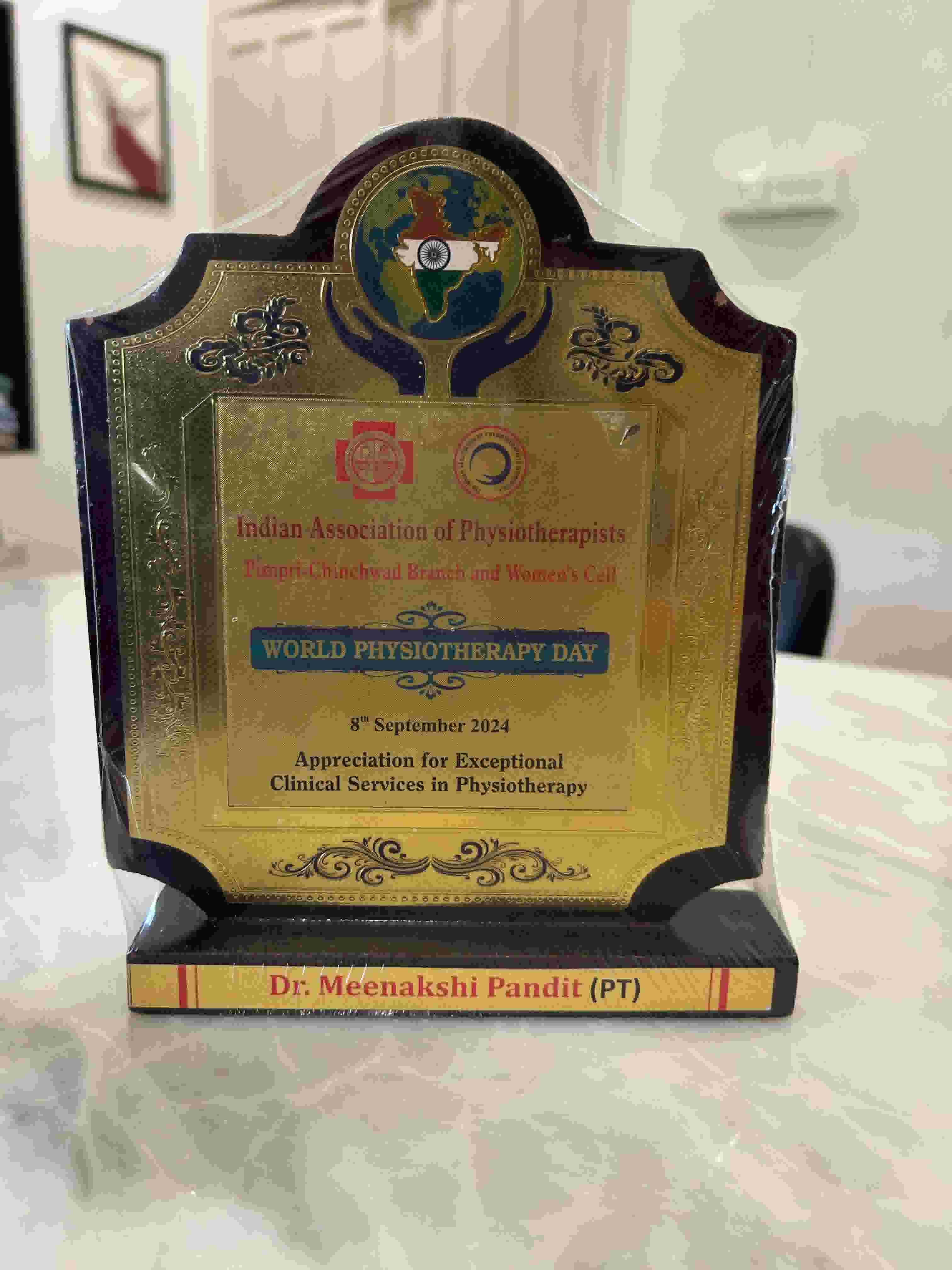 Indian Association of Physiotherapists